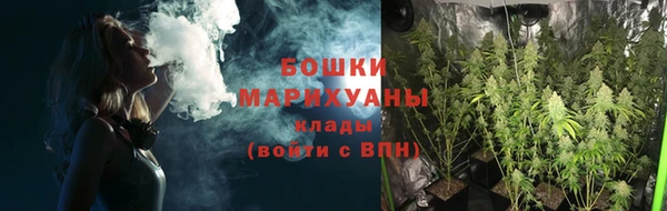 гашик Медногорск