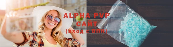 PSILOCYBIN Каменногорск