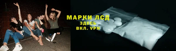 гашик Медногорск