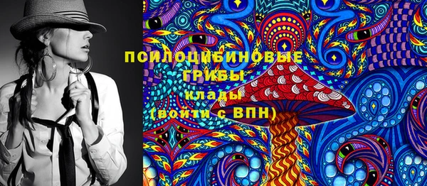 бошки Мегион
