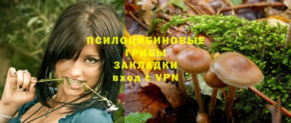PSILOCYBIN Каменногорск