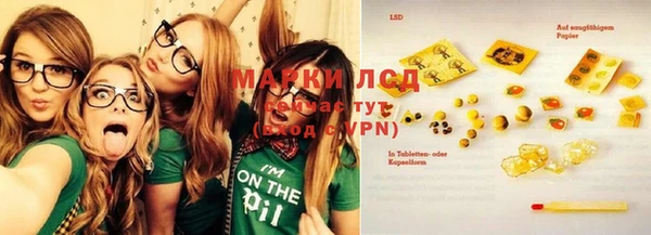 прущие грибы Михайлов