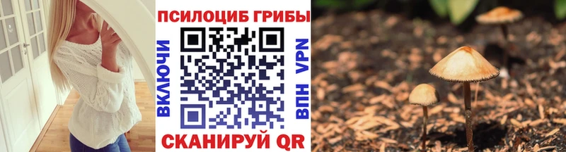 Псилоцибиновые грибы Magic Shrooms Уфа
