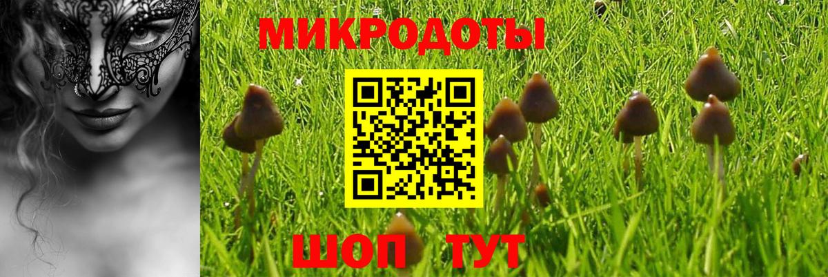 Россия  купить наркоту  Вход с VPN  Псилоцибиновые грибы мицелий  Псилоцибиновые грибы GOLDEN TEACHER 