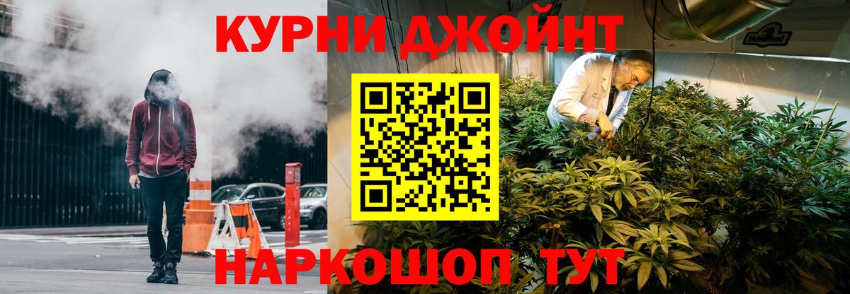 Бошки Шишки планчик Россия